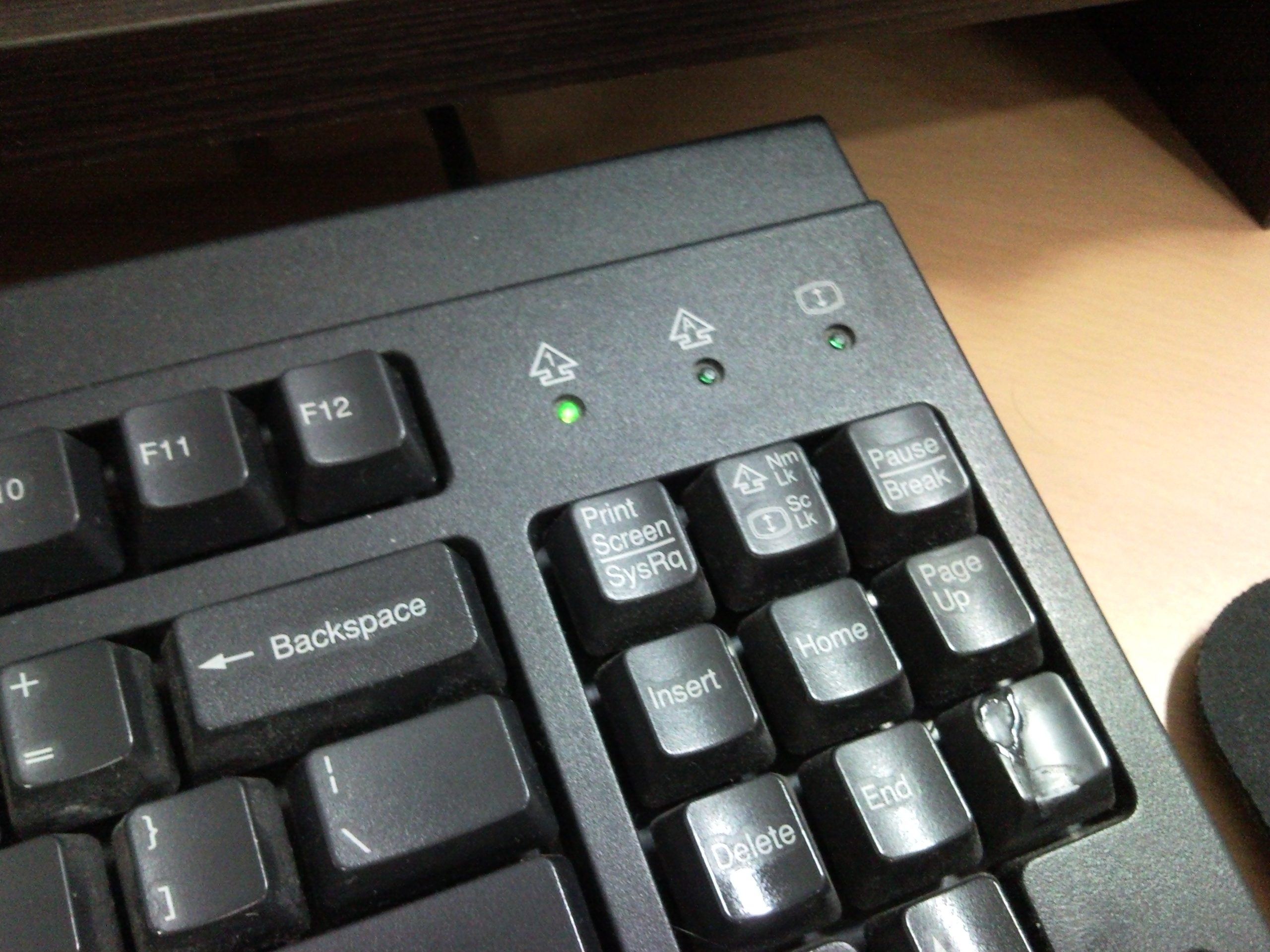 SNC00152.jpg