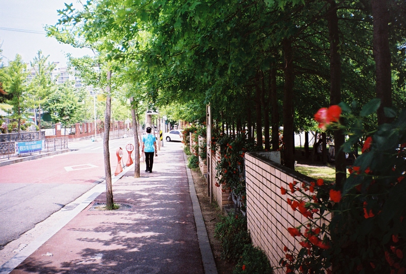 mod_000010.JPG