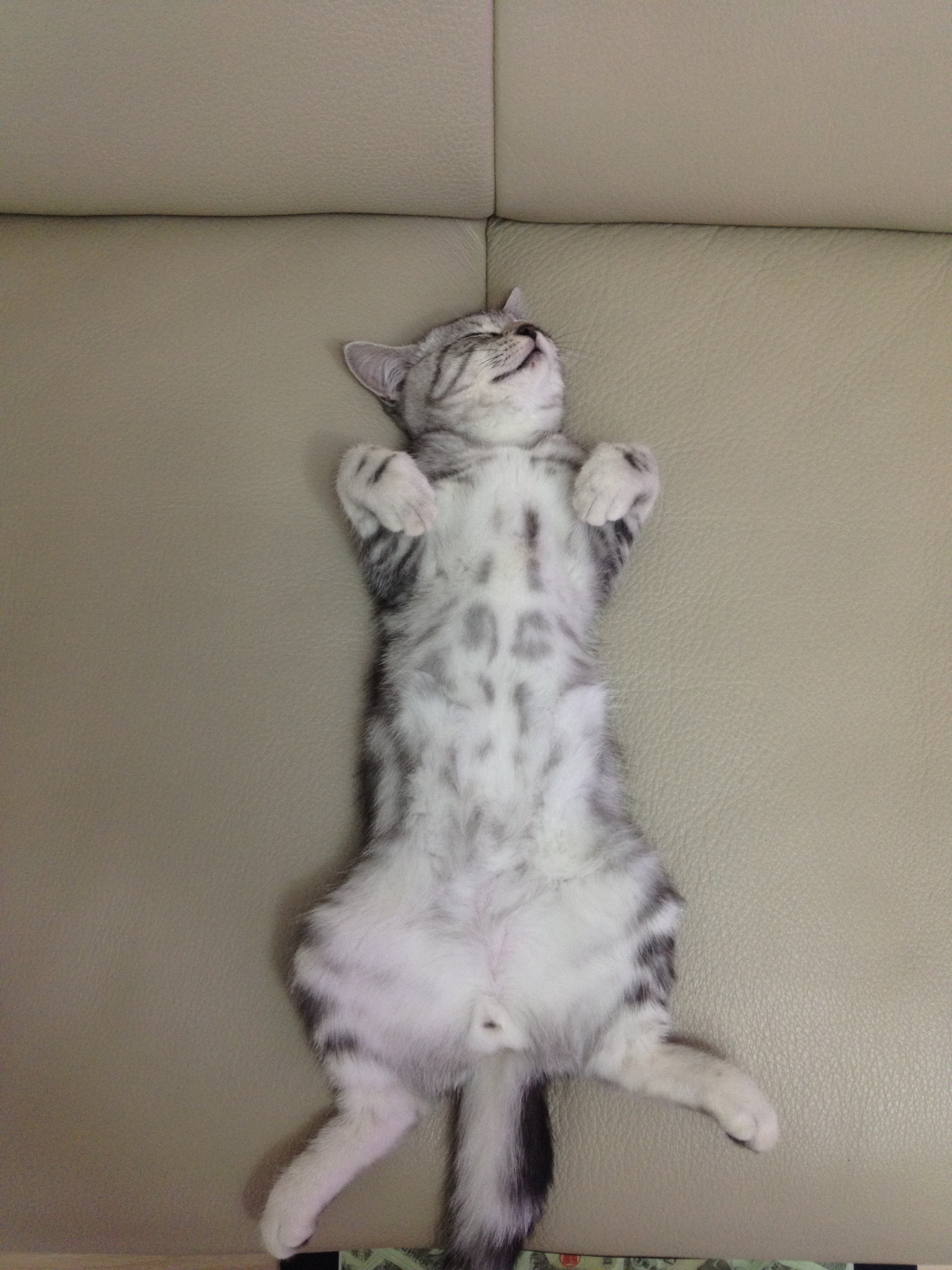 IMG_0642.JPG : 한컷 더 공개 합니다. ^^