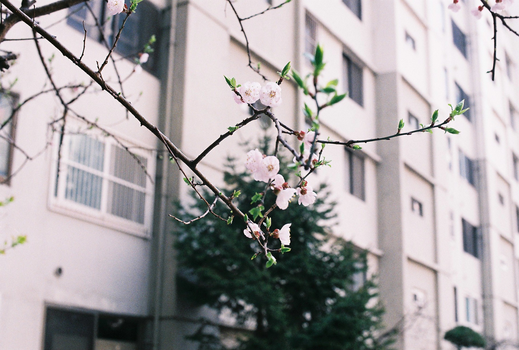 000054.JPG : 사진모임도있네요 ㅎ