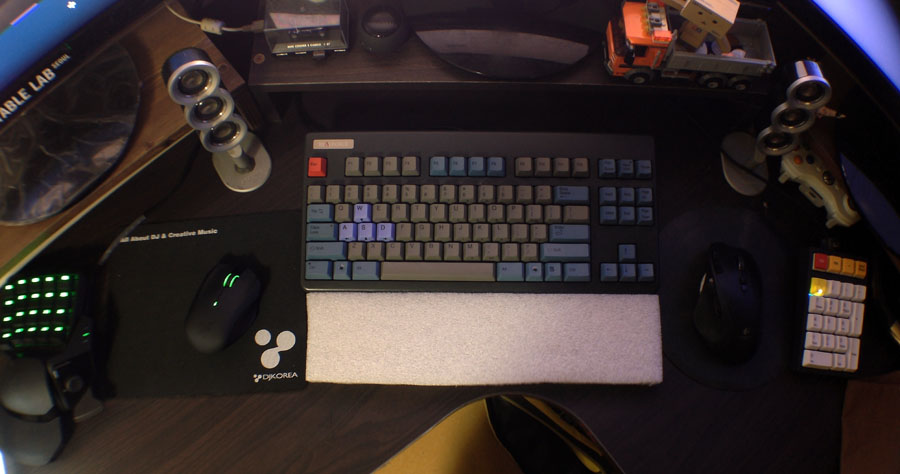 IMG_2488.JPG : 양손으로 마우스 사용하시는분계신가요?