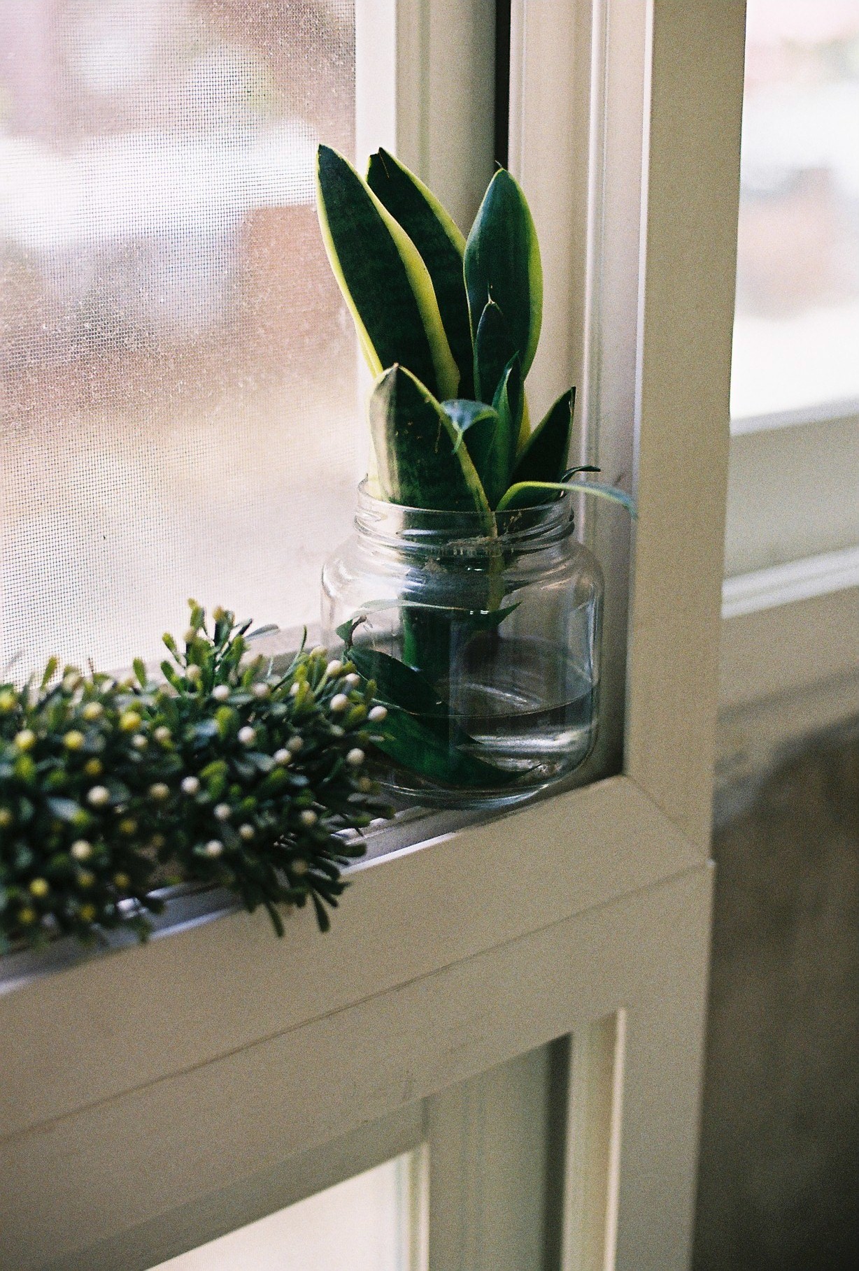 000012.JPG : 심심하니 사진올리기....사진 소모임이잔아요..