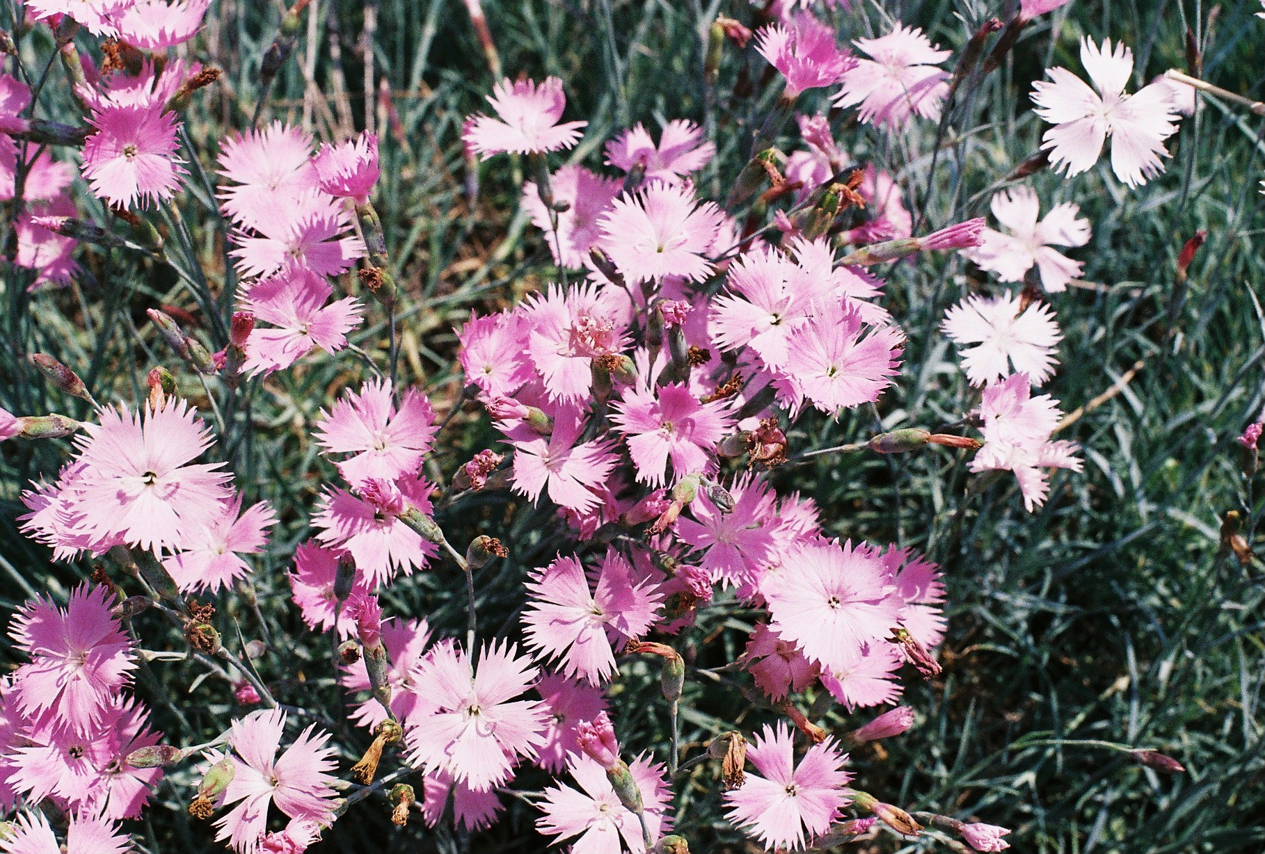 000007.JPG : 심심하니 사진올리기....사진 소모임이잔아요..