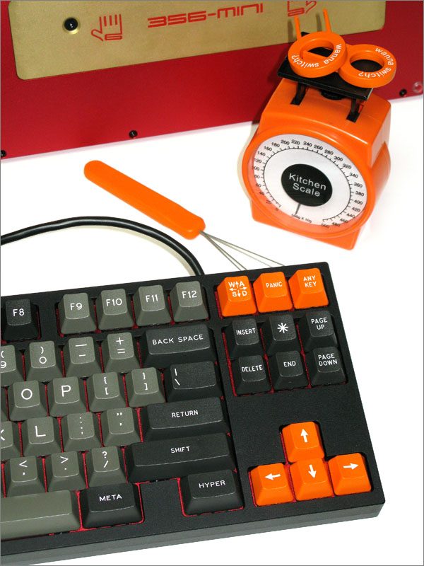 k369.JPG