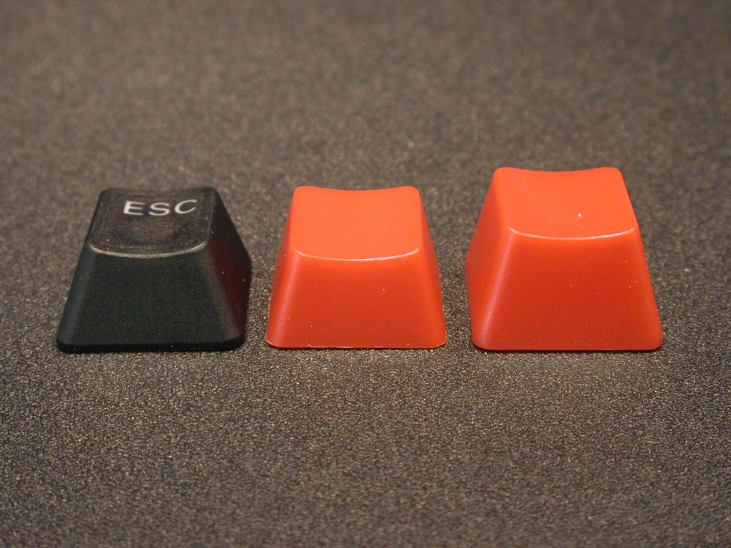 20100514 07.JPG