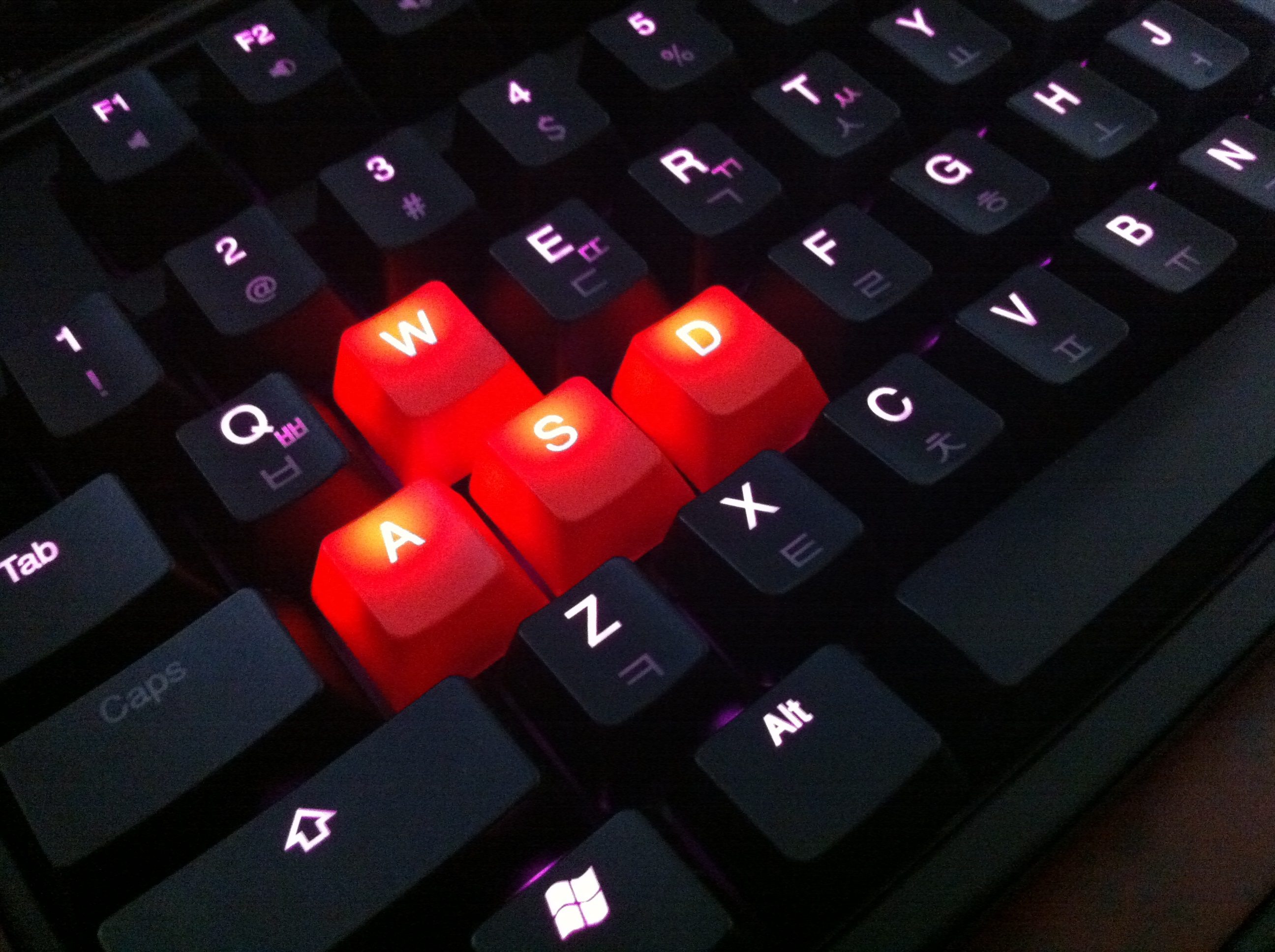IMG_1057.JPG : ducky 9008 shining PINK >_^