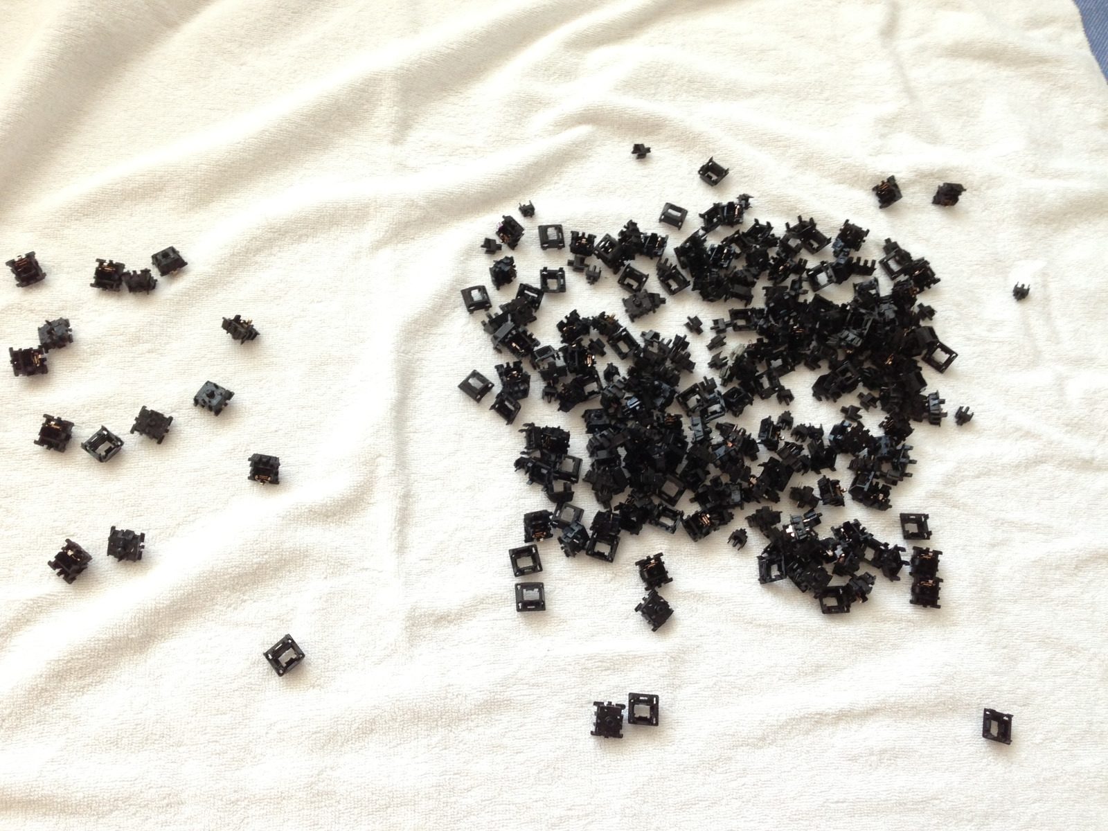 photo (15)_1.jpg
