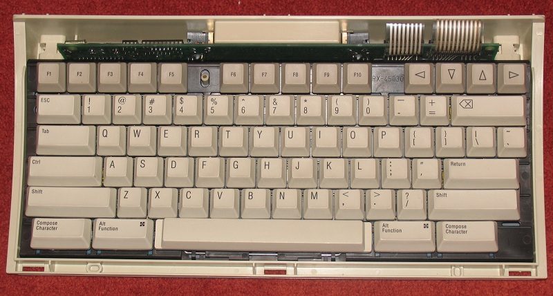 DEC-insidesmall.jpg