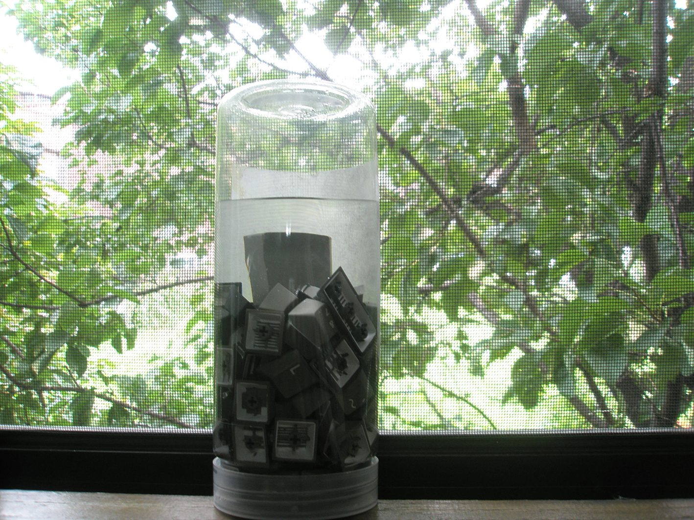 P1010026.JPG