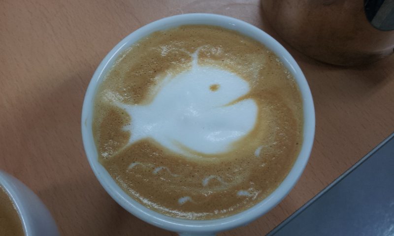 20120511_150506.jpg