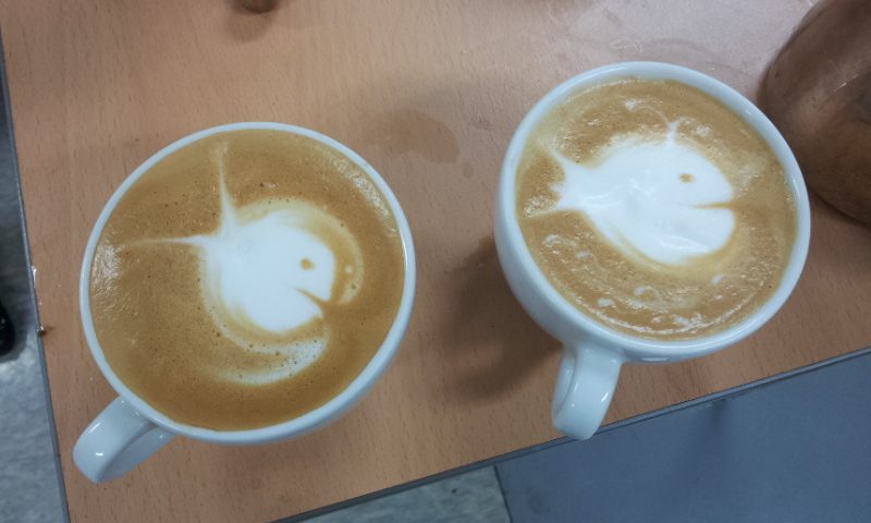 20120511_150458.jpg