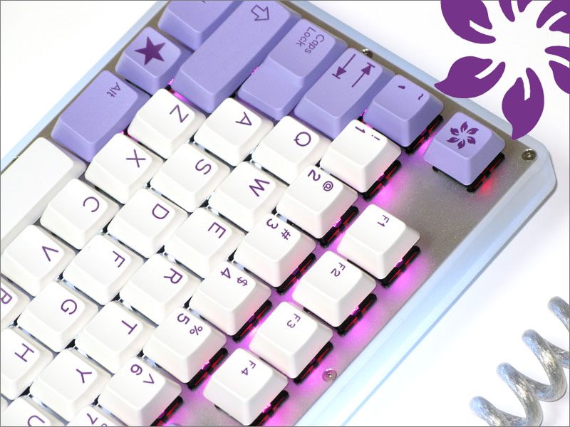 k768.JPG
