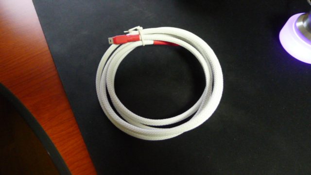 P1030232.JPG