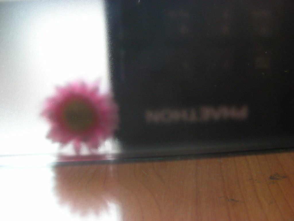 DSCN0018.JPG
