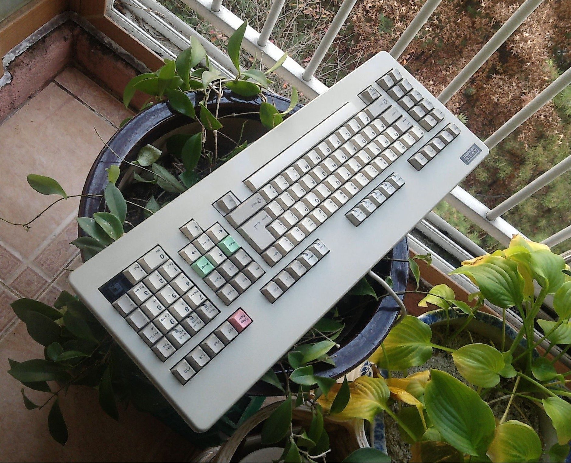 G80-0528 NCR  ADDA  - 19 .jpg