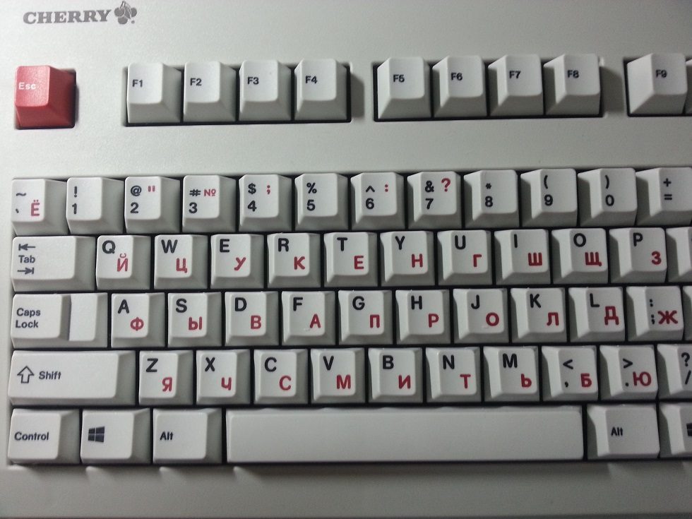 20130403_142338.jpg