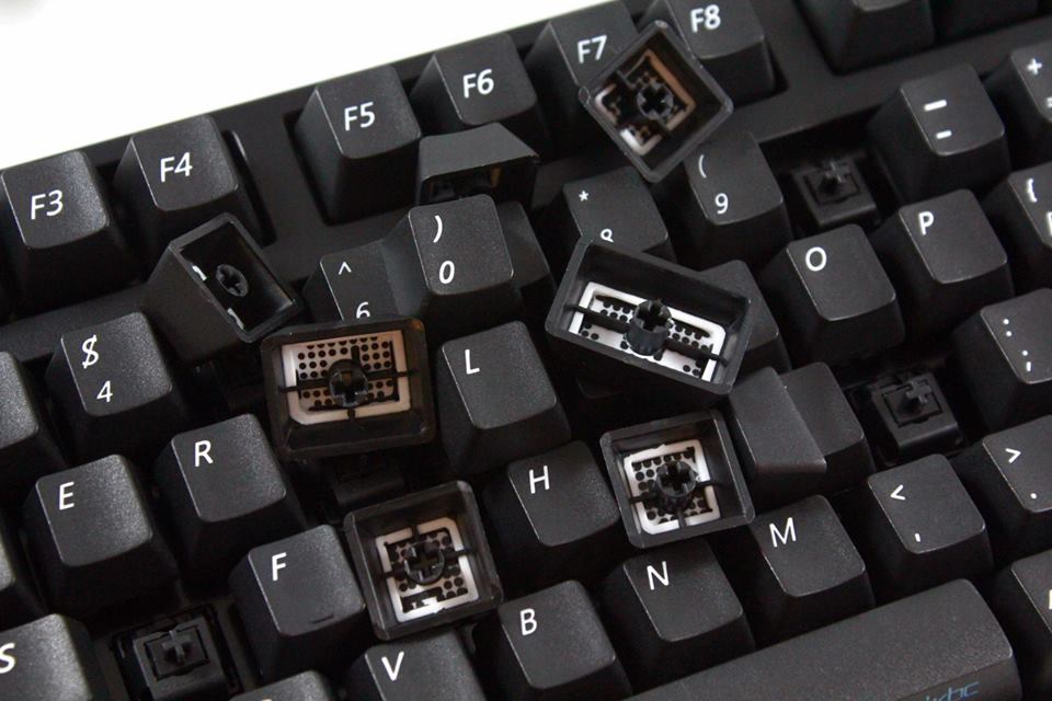 f8.jpg