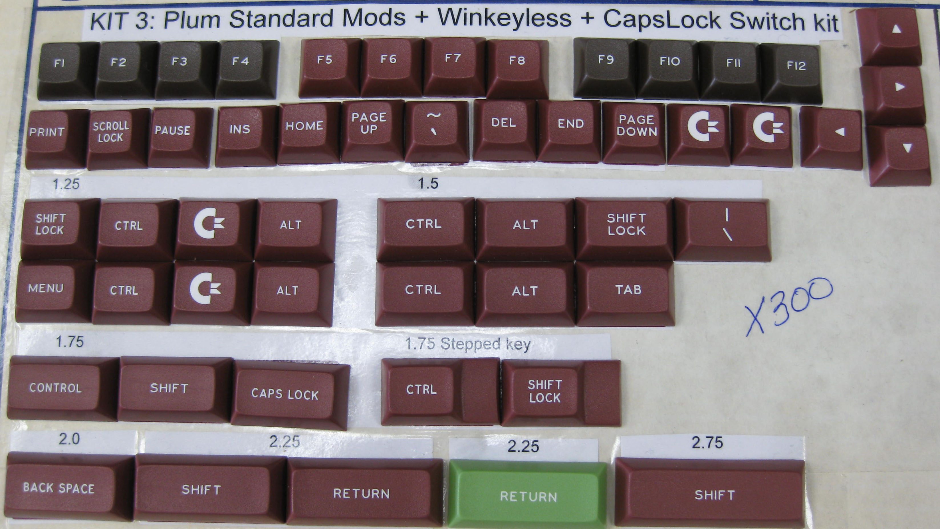 dsa1.jpg