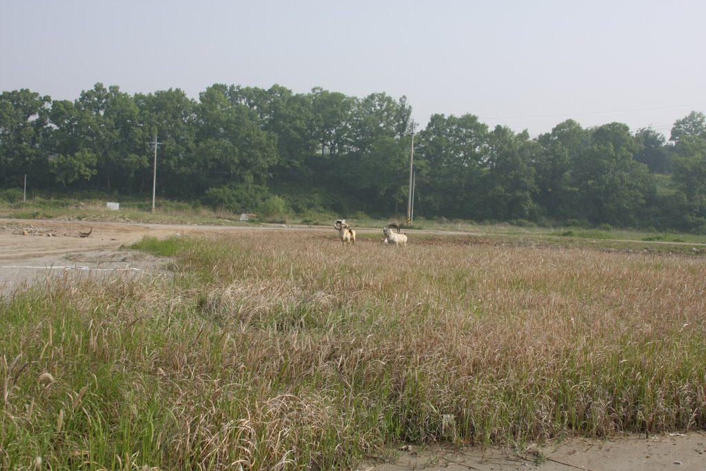 060-1.jpg