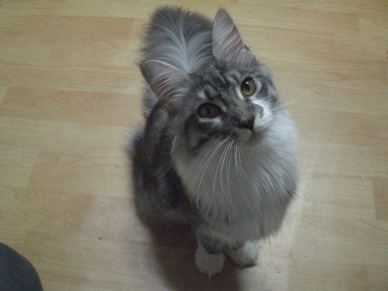 CIMG1373.JPG