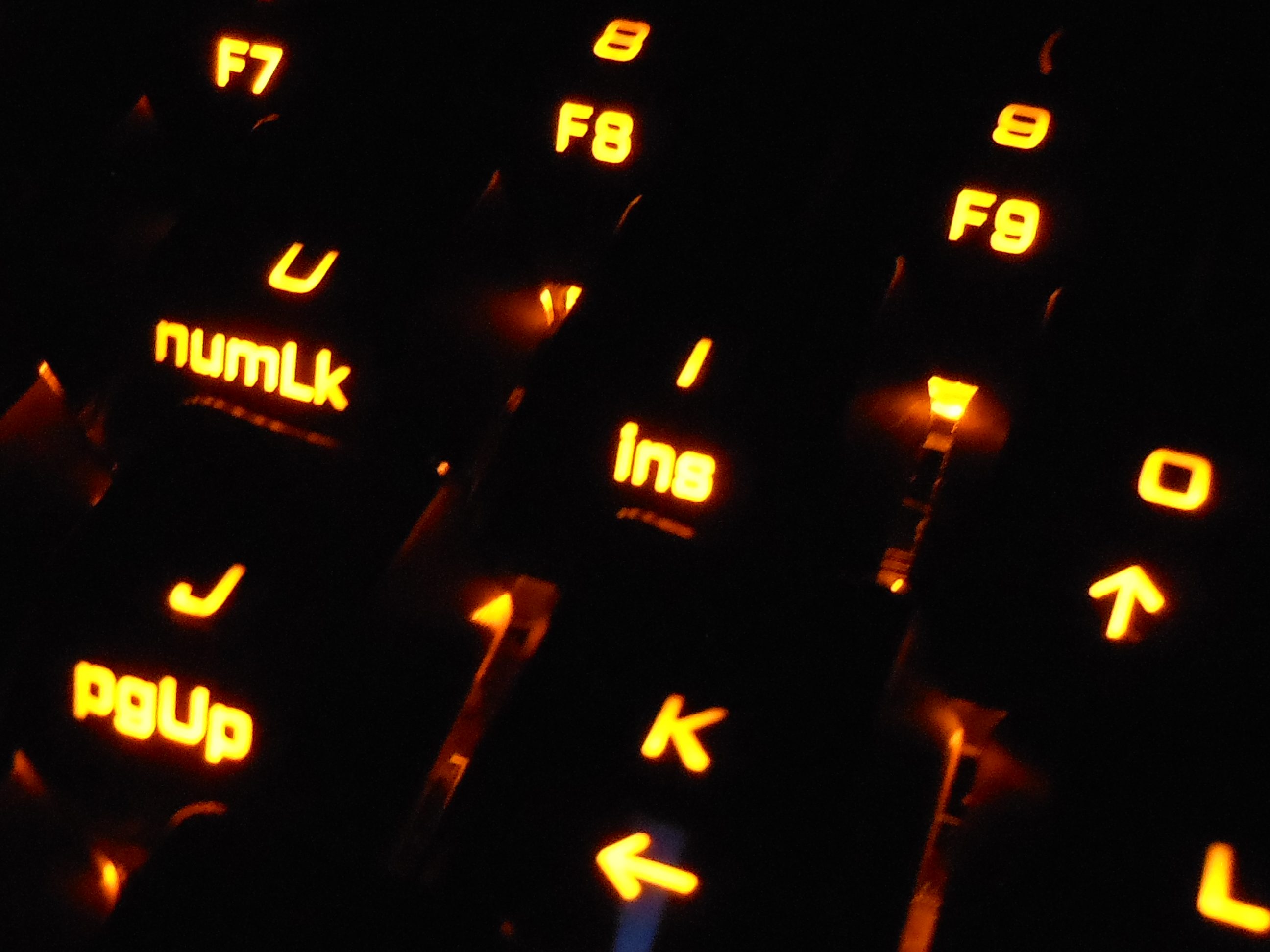RSCN0171.JPG
