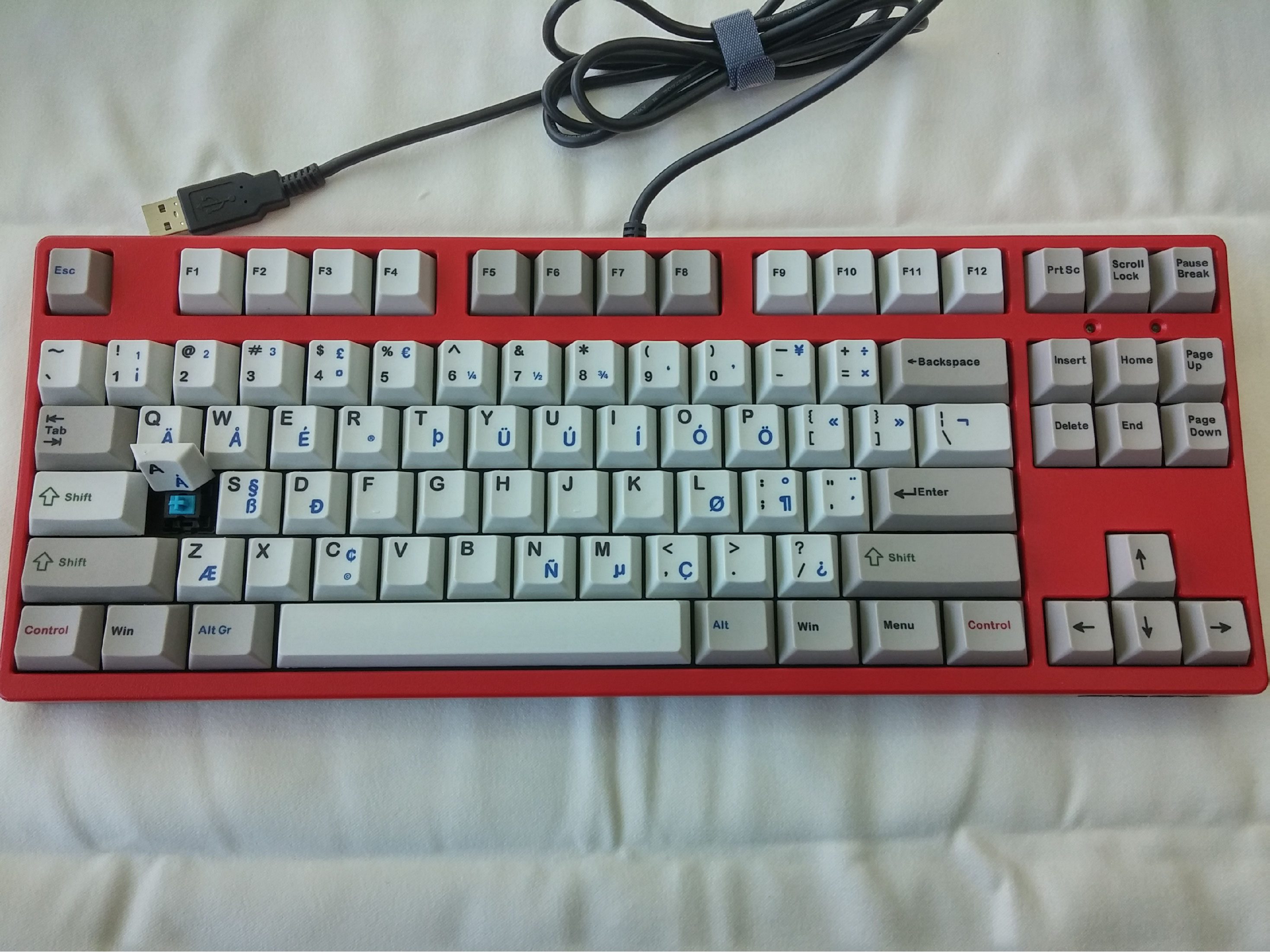 CAM00064111.jpg