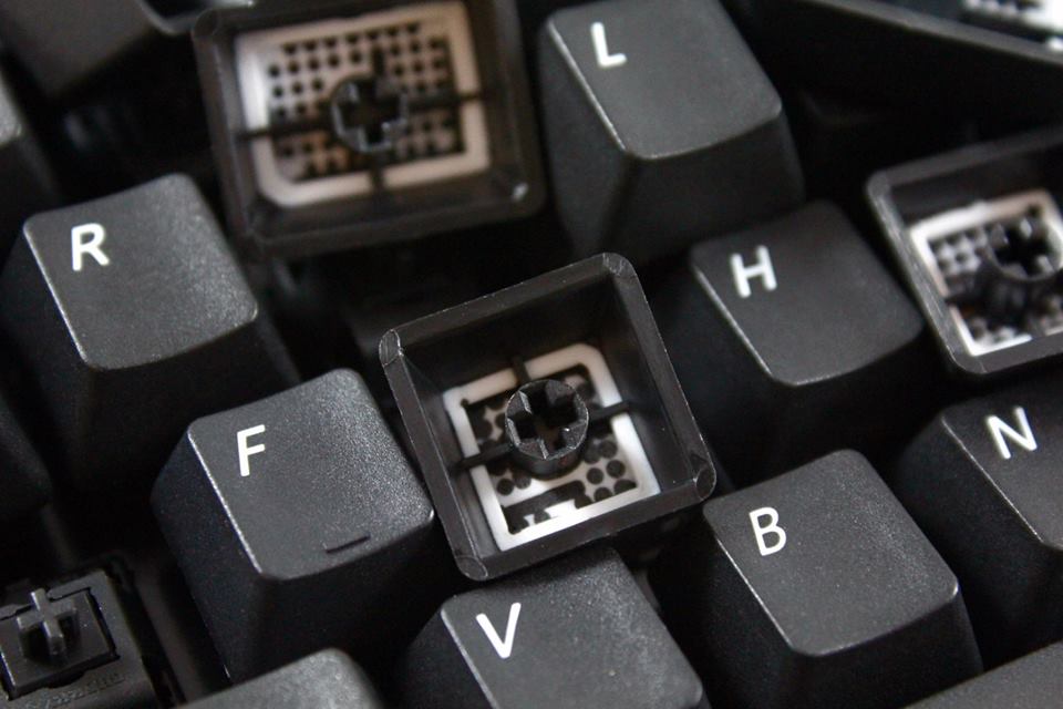 f9.jpg
