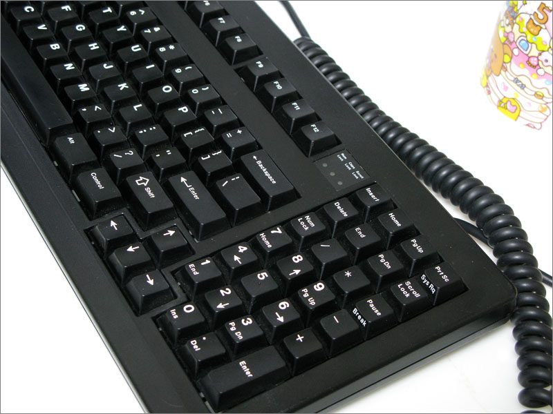 k319.JPG