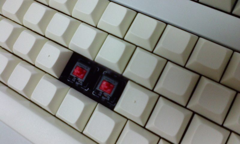 p100624_001.jpg