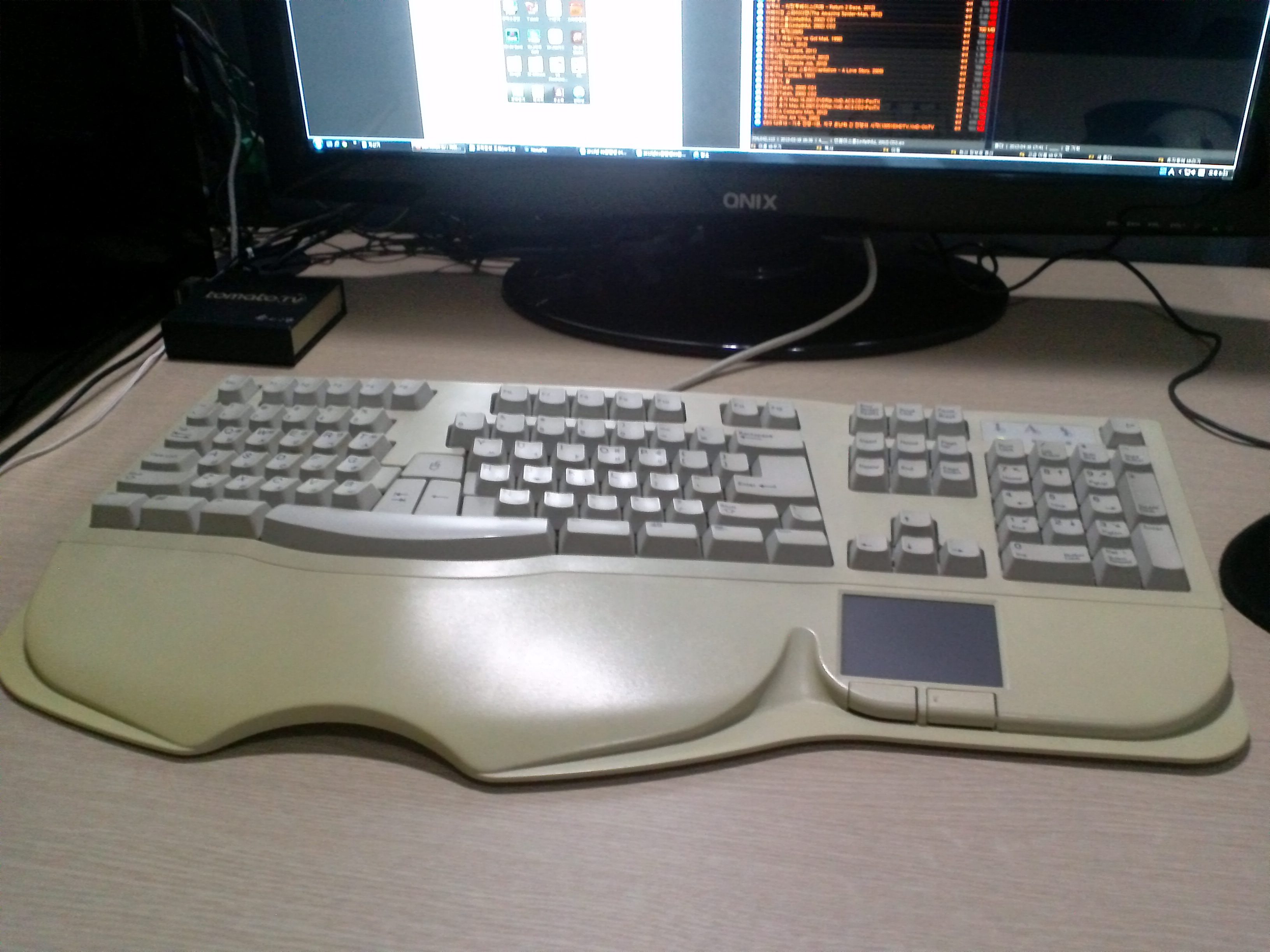 CAM00255.jpg