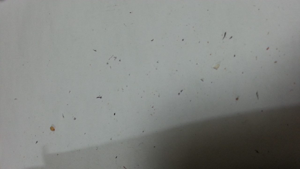 20130422_215726.jpg