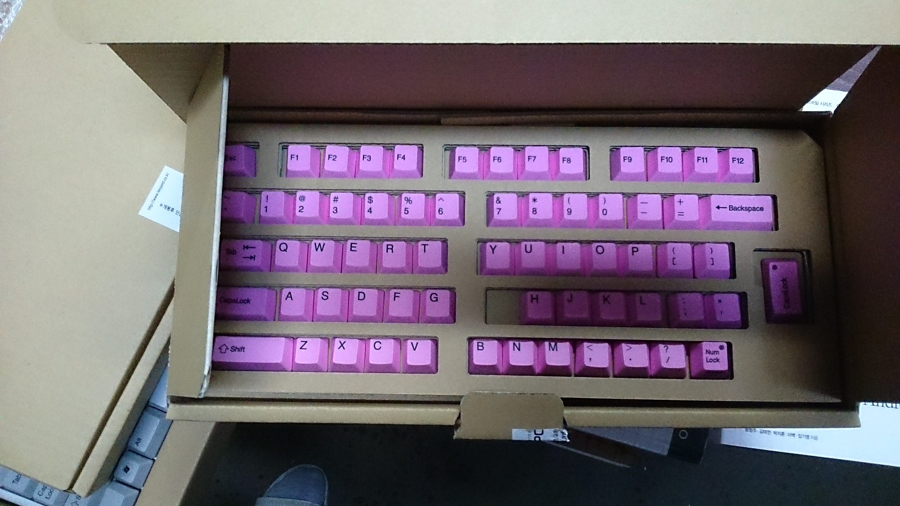 real color Pink.jpg