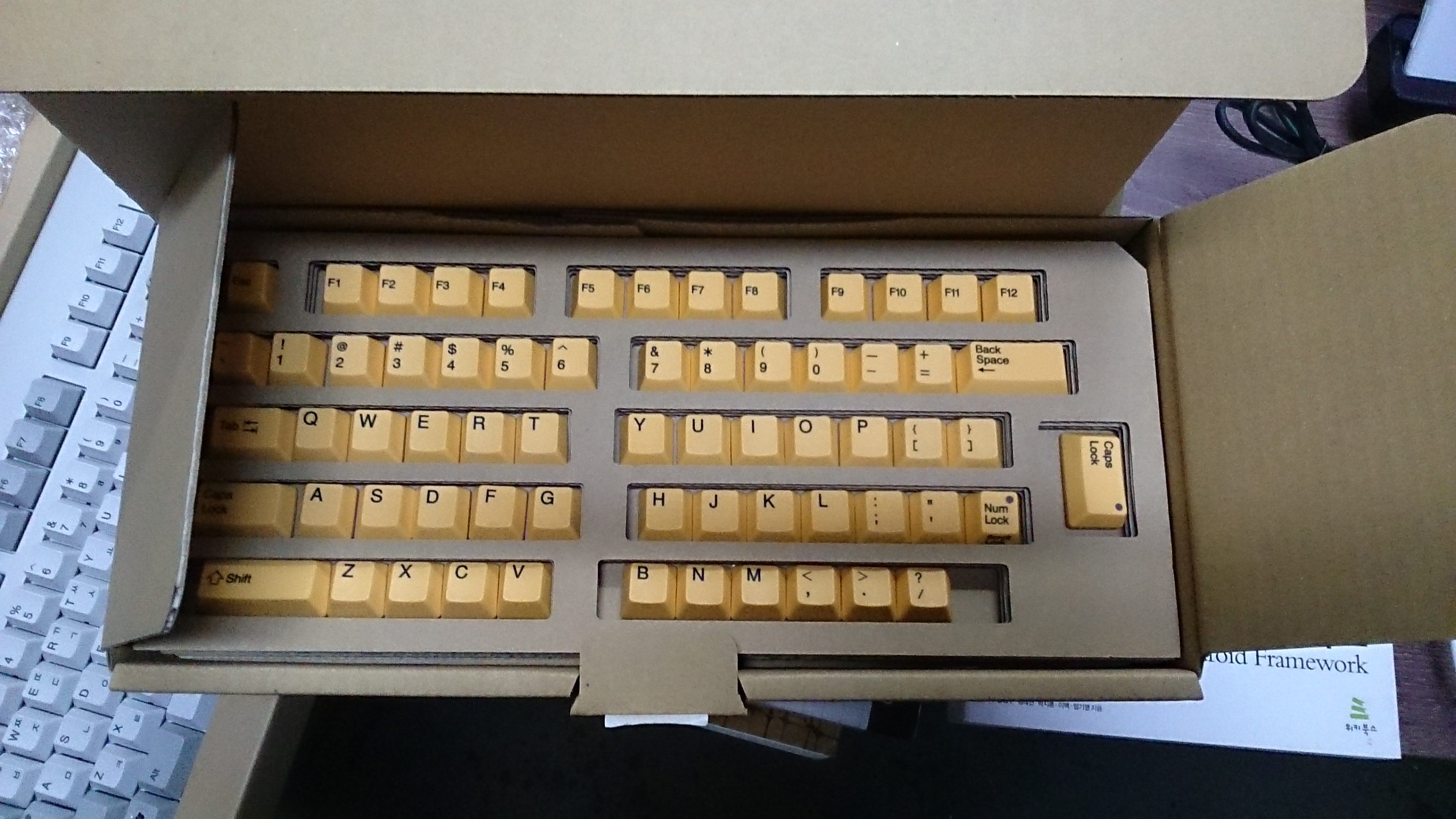 real color Y.jpg