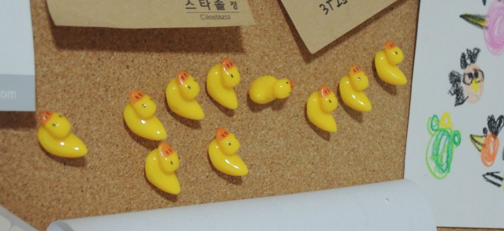 duck.jpg