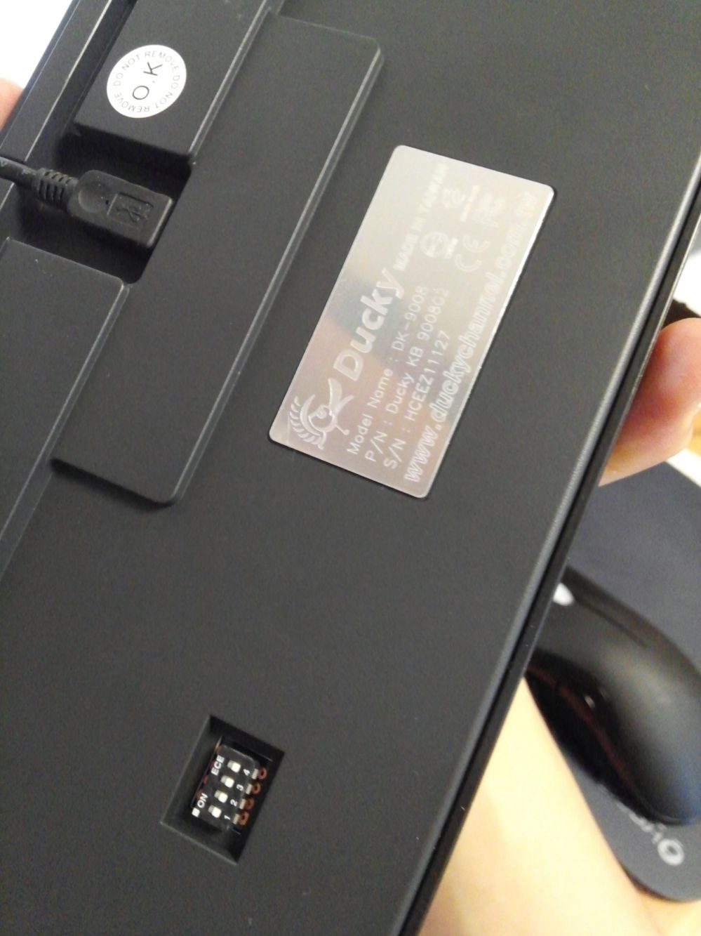 CAM01165.jpg