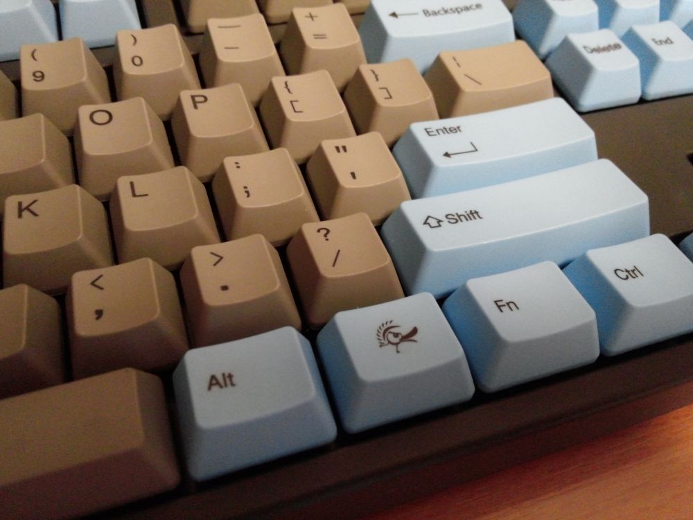 CAM01164.jpg