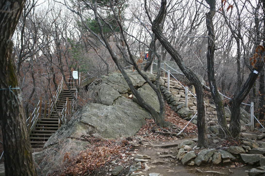 크기변환_IMG_5321.JPG