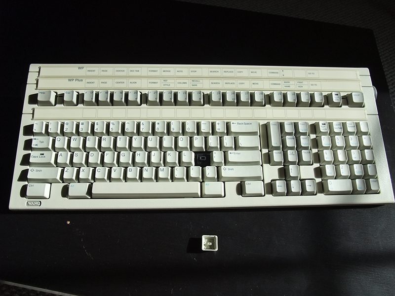 DSCF2227.JPG