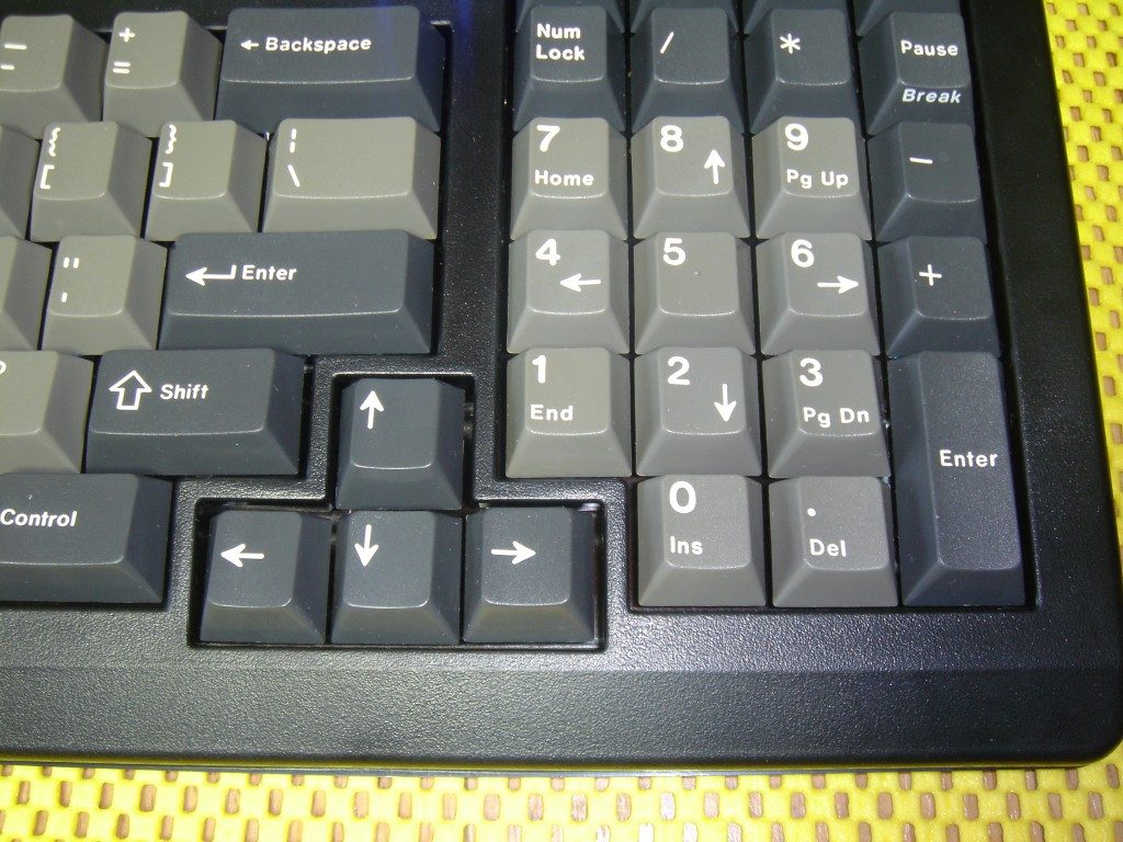 e_1.jpg