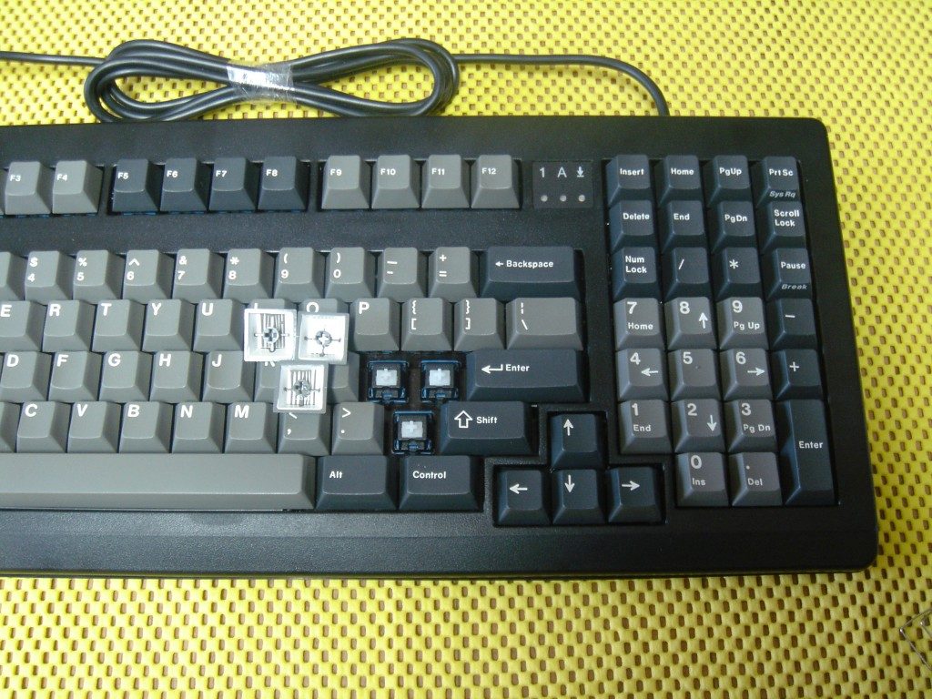 f_1.jpg