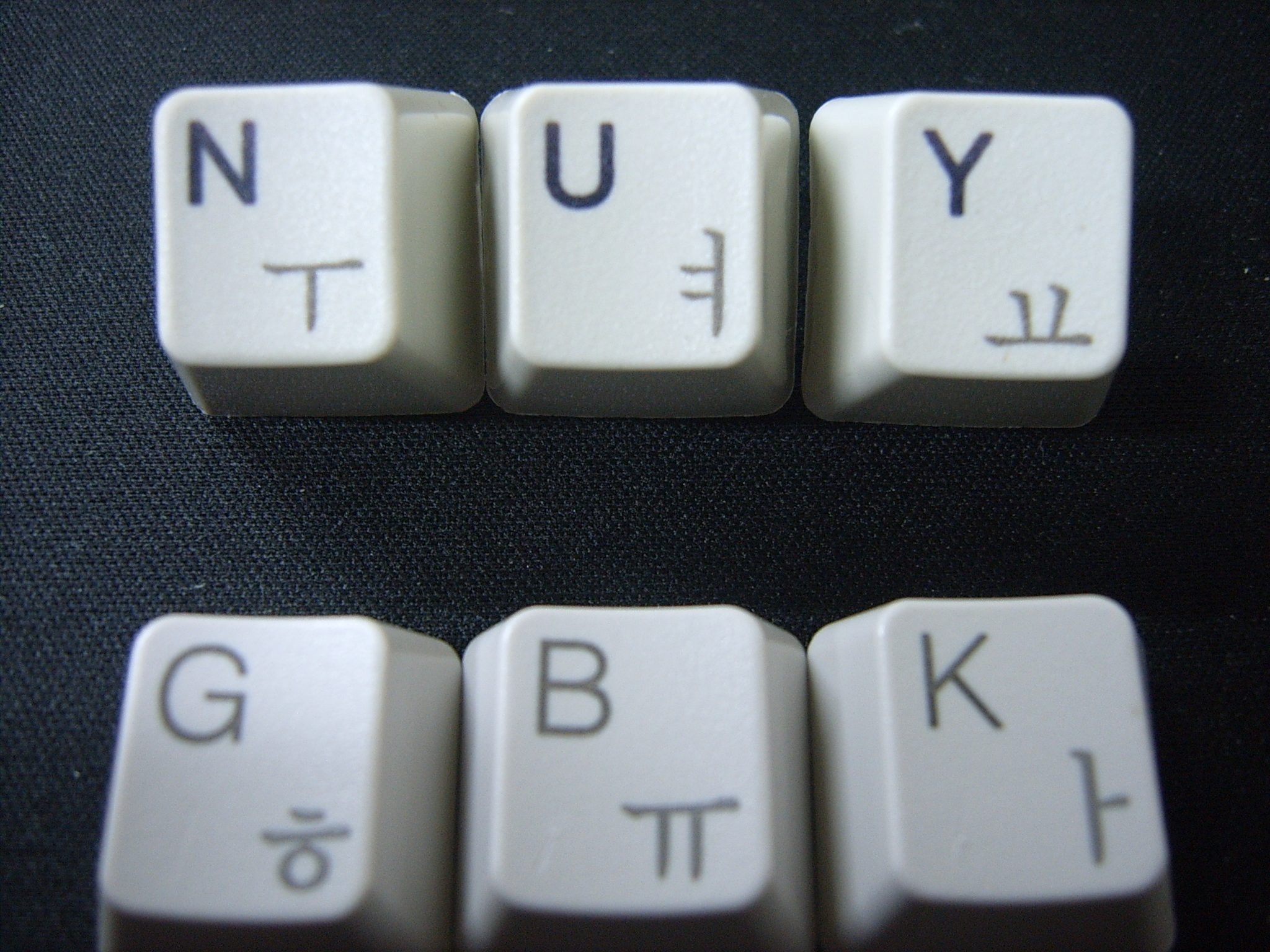 SUC52754.JPG