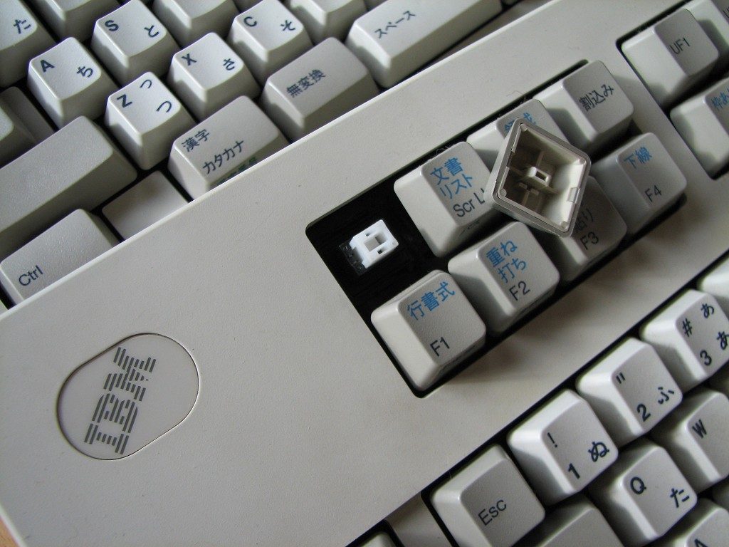 closeup2.jpg