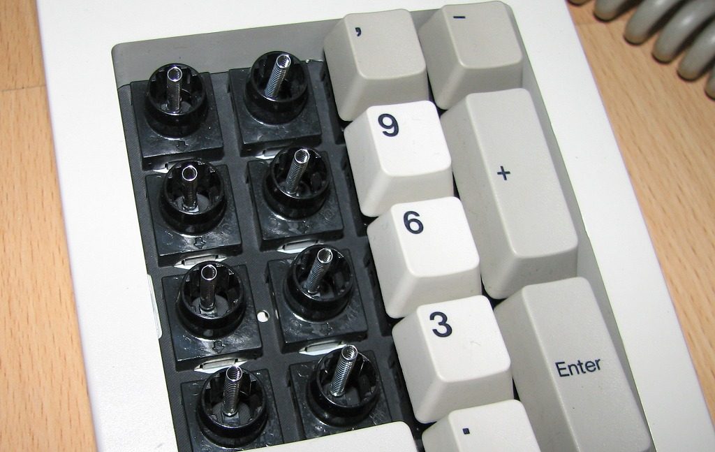closeup4.jpg