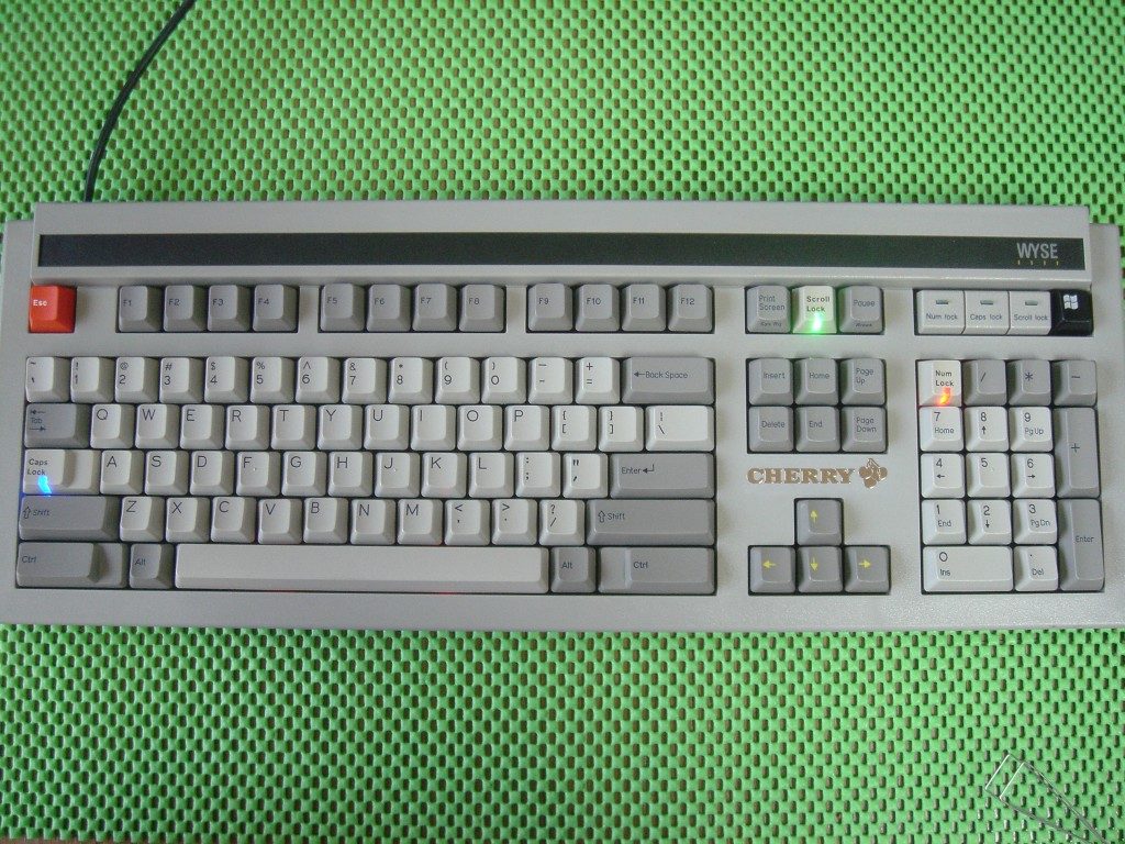 e_1.jpg