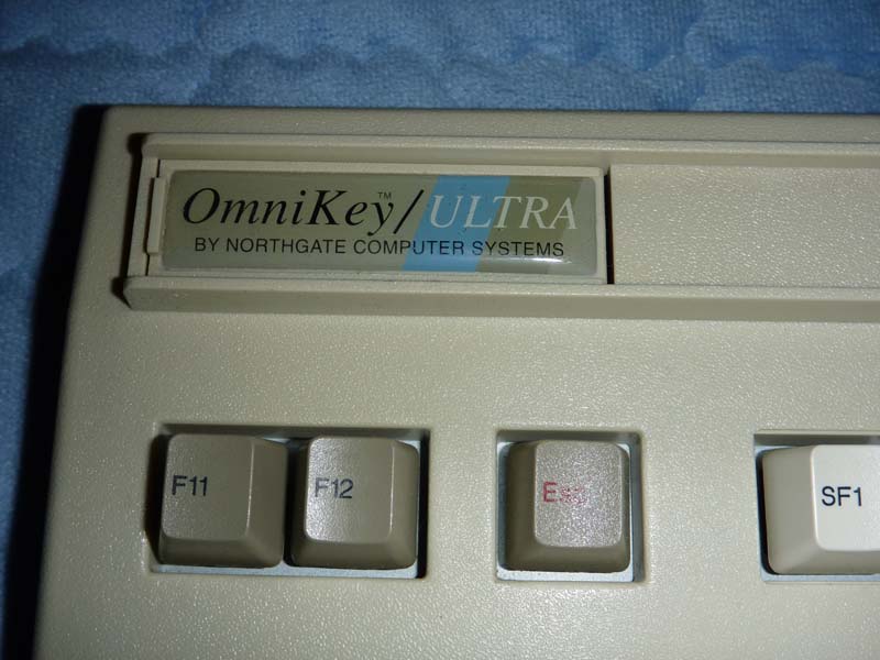 omni6.jpg