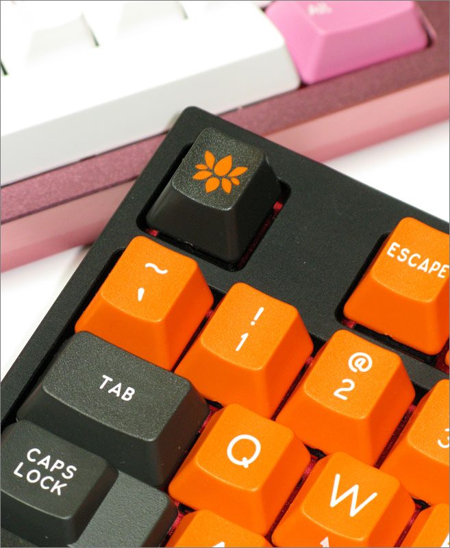 k734.JPG