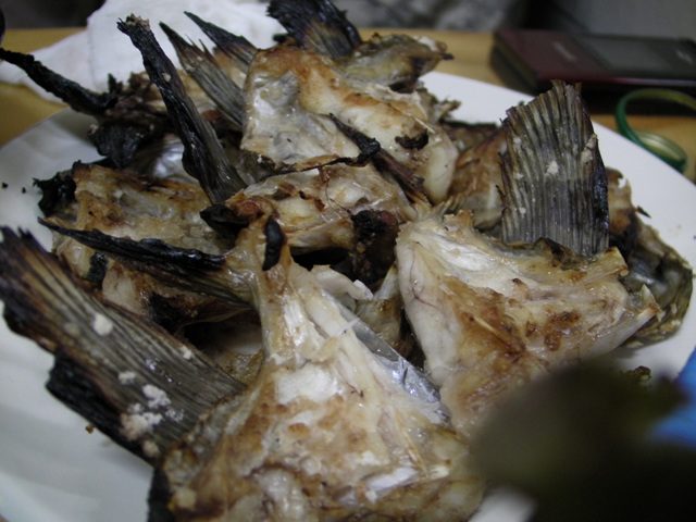 SANY3767.jpg