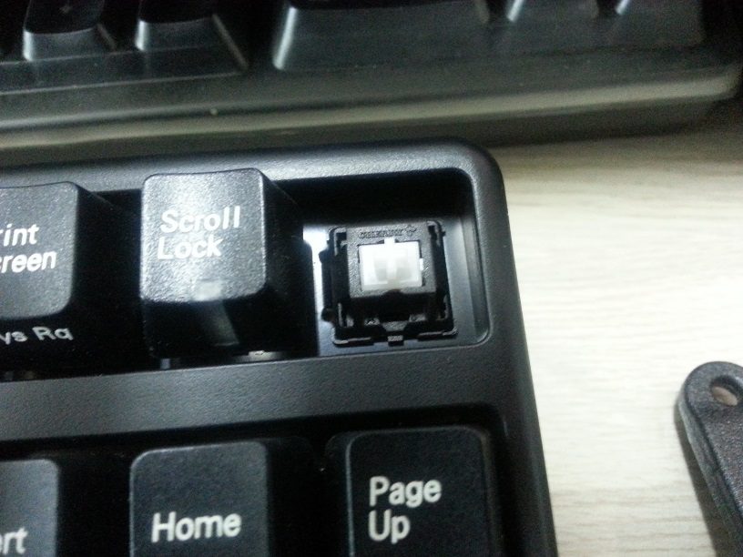 20130516_095146.jpg