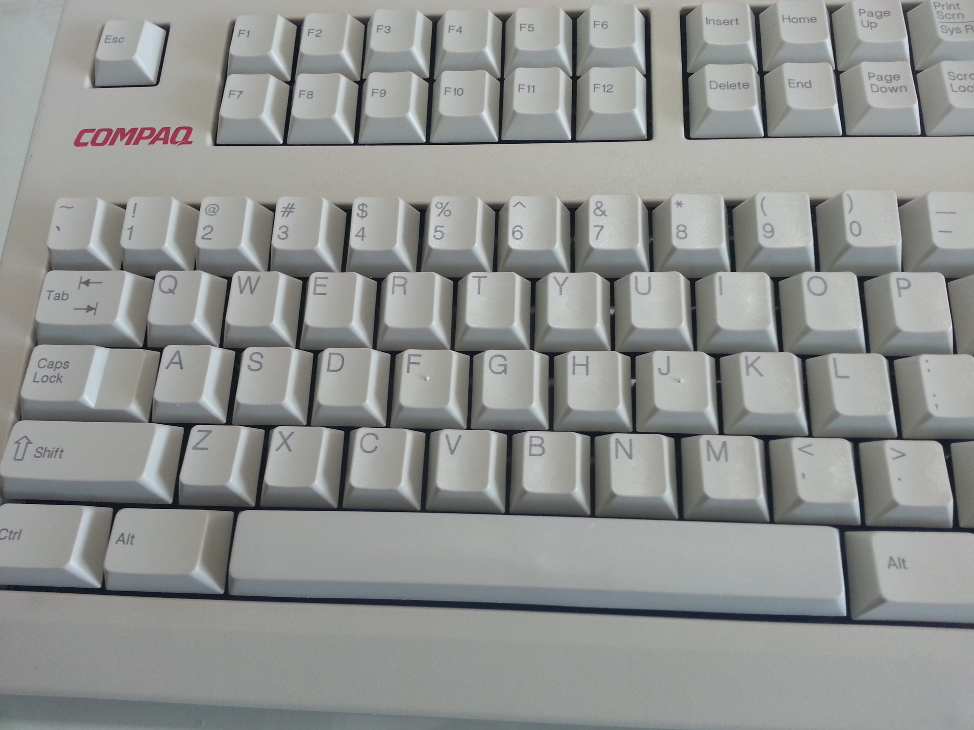 20131020_125011.jpg