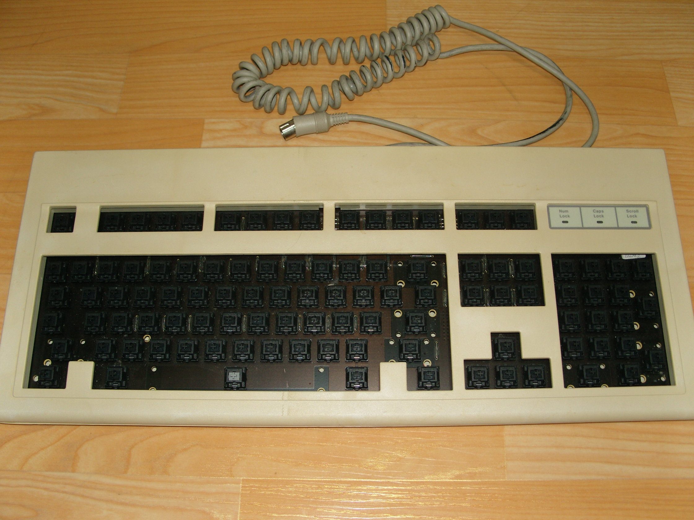 SNV15779.JPG